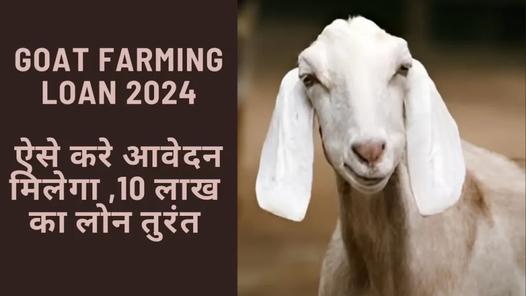 Goat farming loan 2024 apply online